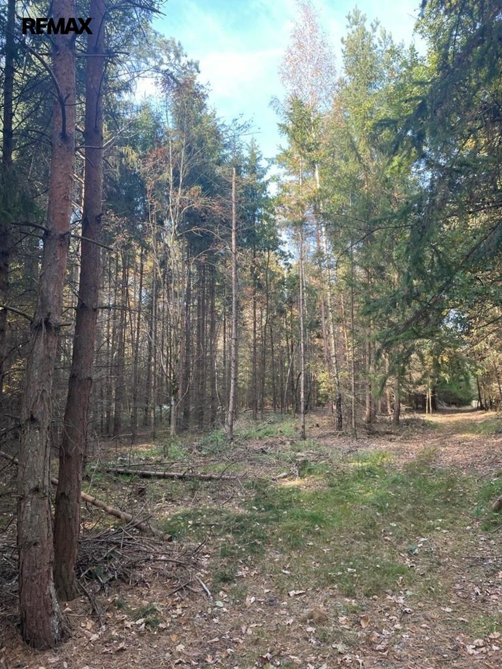 Prodej les - Pištín, 1 919 m² - 5