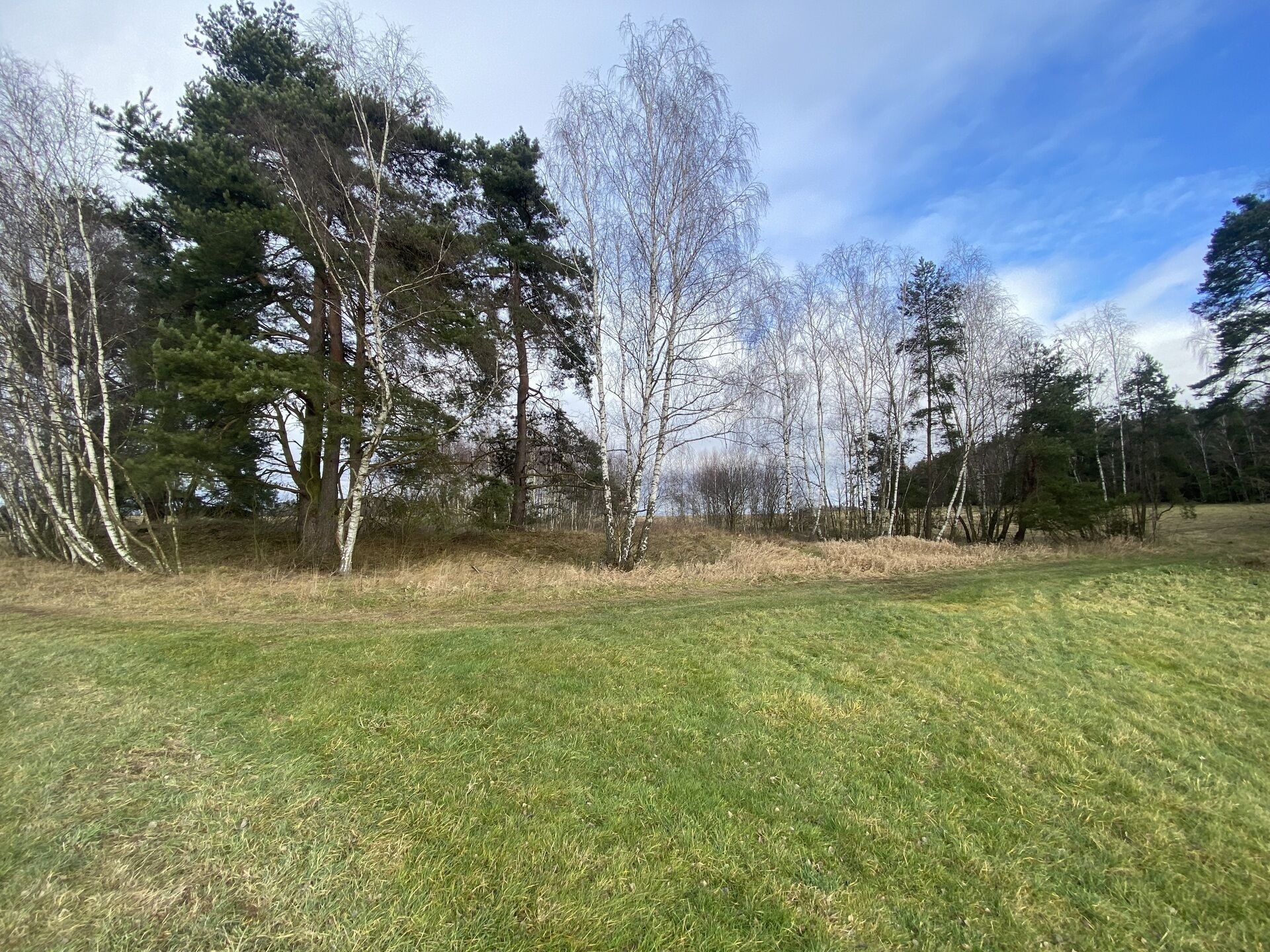 Ostatní, Pořešín, Kaplice, 11 m²