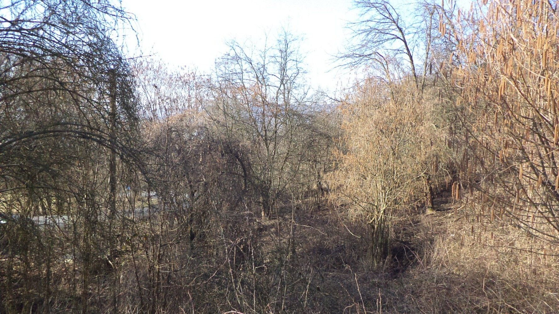 Zahrada · Trmice, okres Ústí nad Labem, Ústecký kraj - 3