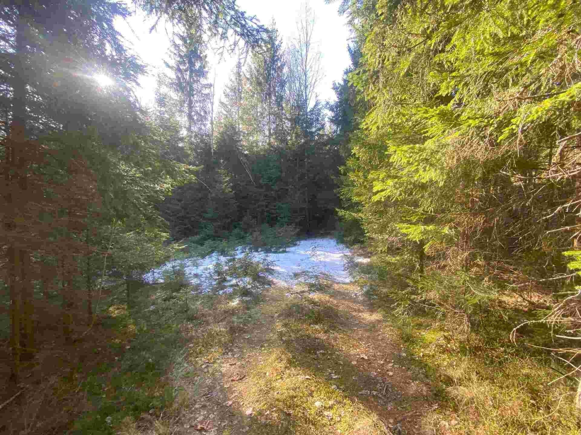 Zemědělské pozemky, Železná Ruda Špičák, 1 644 m² - 2