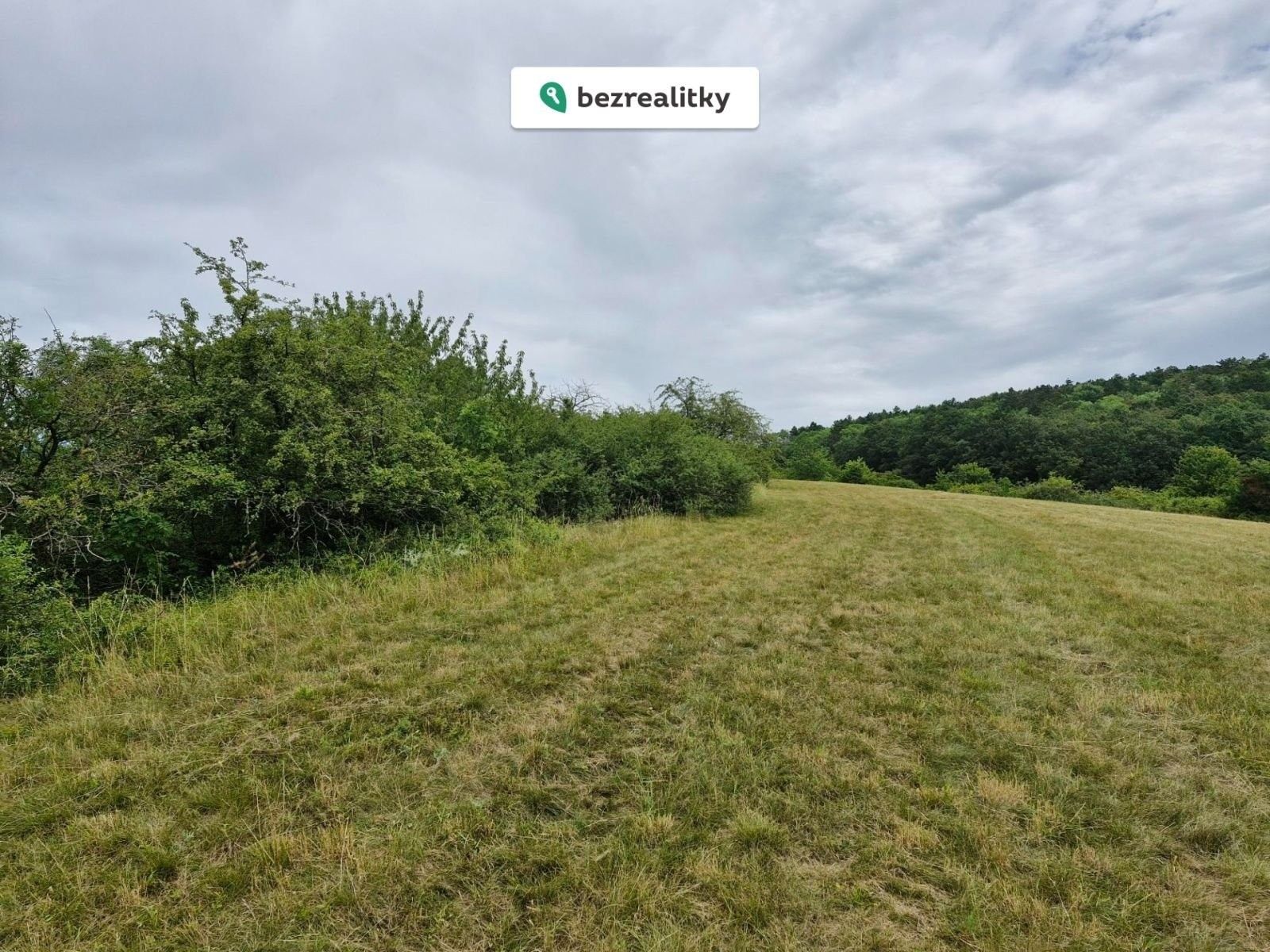 Prodej louka - Vinařice