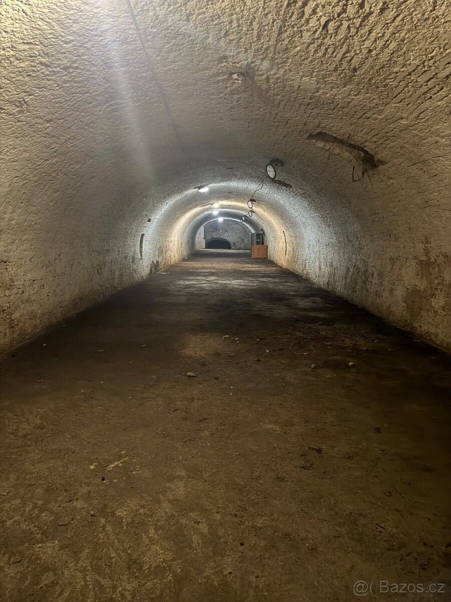 Pronájem ostatní - Hostim, 671 54