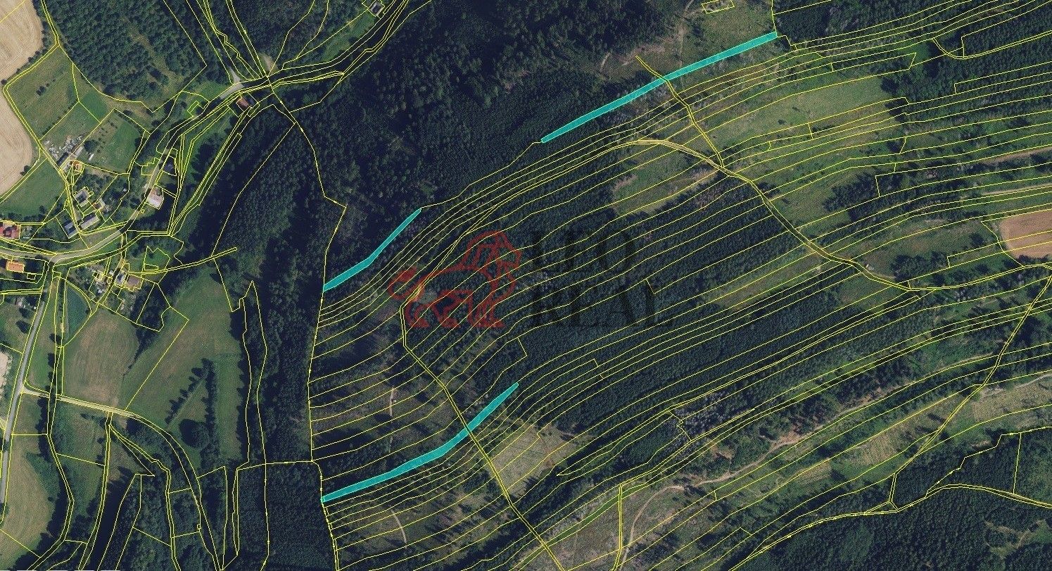 Prodej les - Městečko Trnávka, 33 528 m²