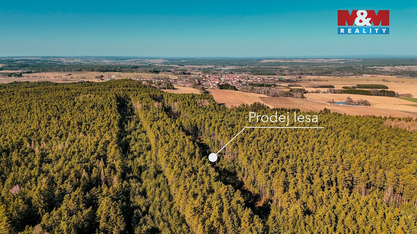 Lesy, Olešnice, okres České Budějovice - 2