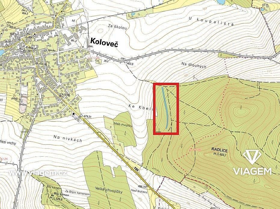 Les · Koloveč, okres Domažlice, Plzeňský kraj - 4