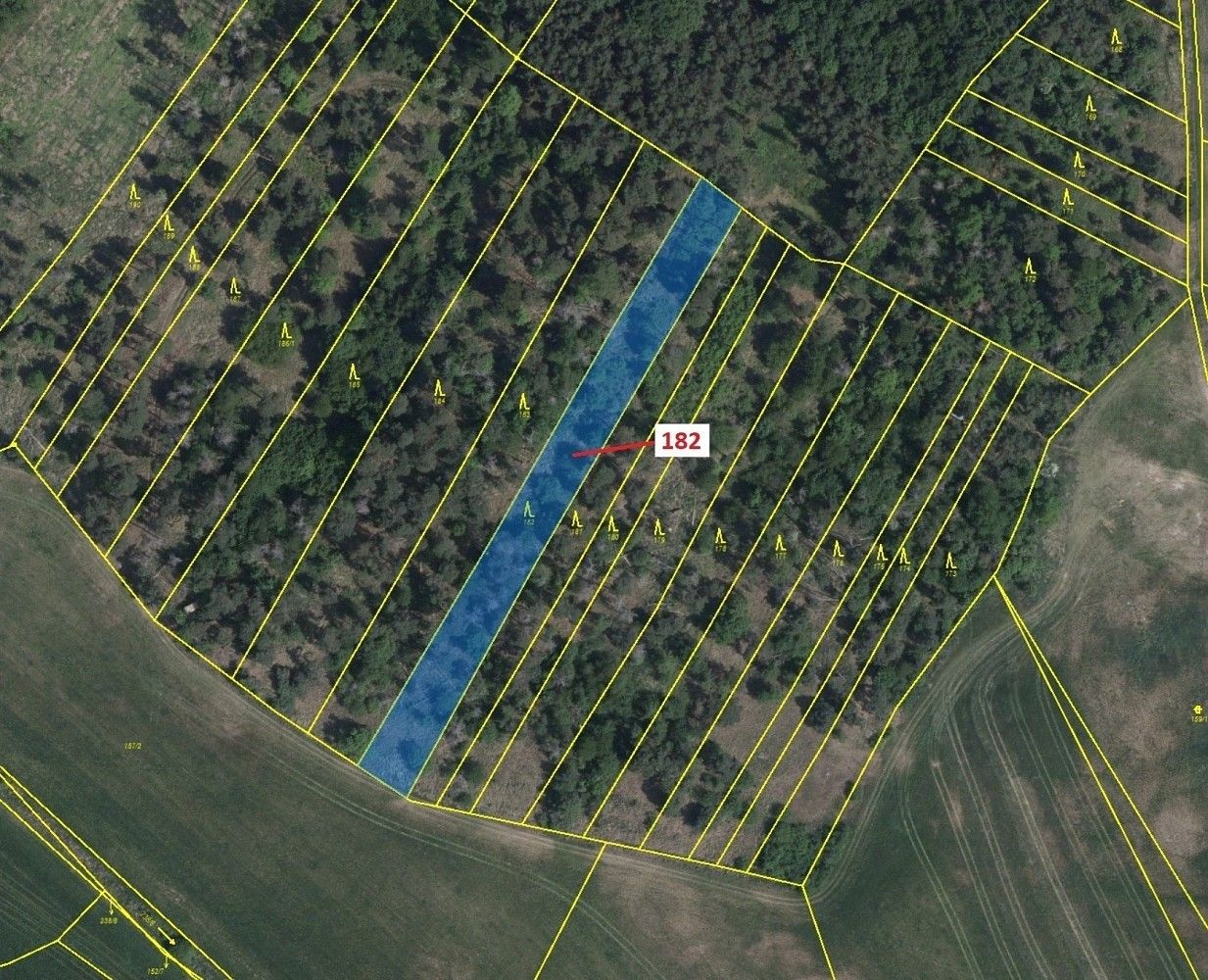 Prodej les - Klučov, okres Třebíč, Kraj Vysočina - 2