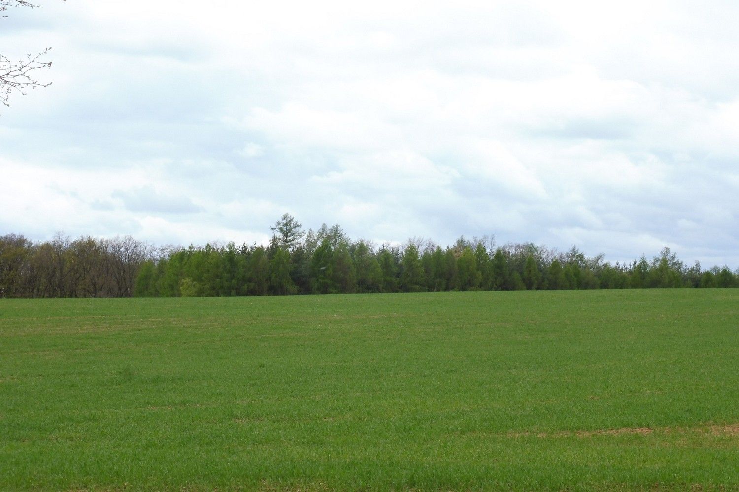 Ostatní, Lštění, okres Benešov, Středočeský kraj - 1
