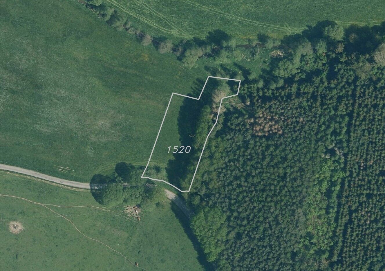 Prodej zemědělský pozemek - Nahý Újezdec, Chodský Újezd, 25 m²