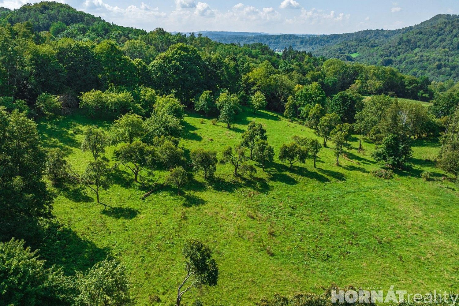 Louky, Vojkovice - Jakubov, okres Karlovy Vary, Karlovarský kraj - 2