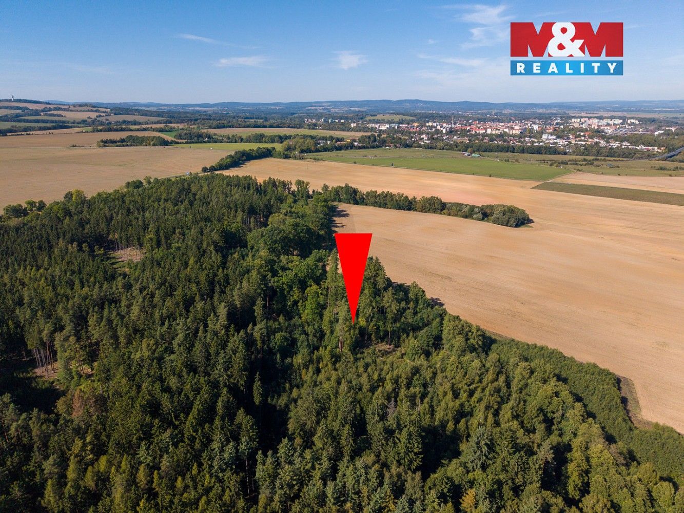 Les · Cheb - Podhrad, Karlovarský kraj - 4