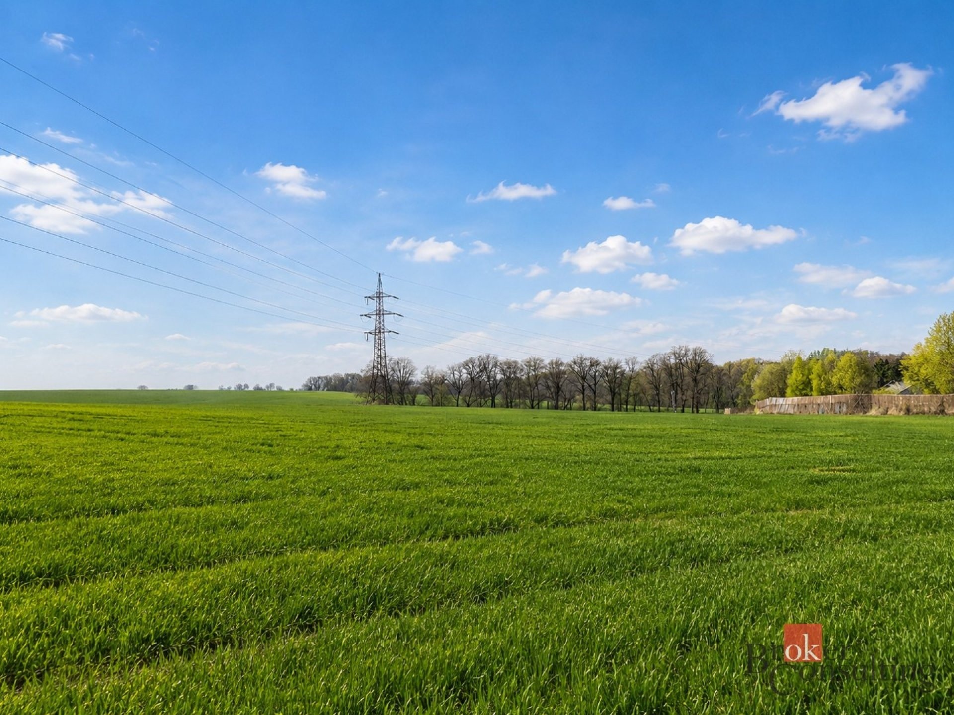 Prodej zemědělský pozemek - Říčany, 54 936 m² - 5