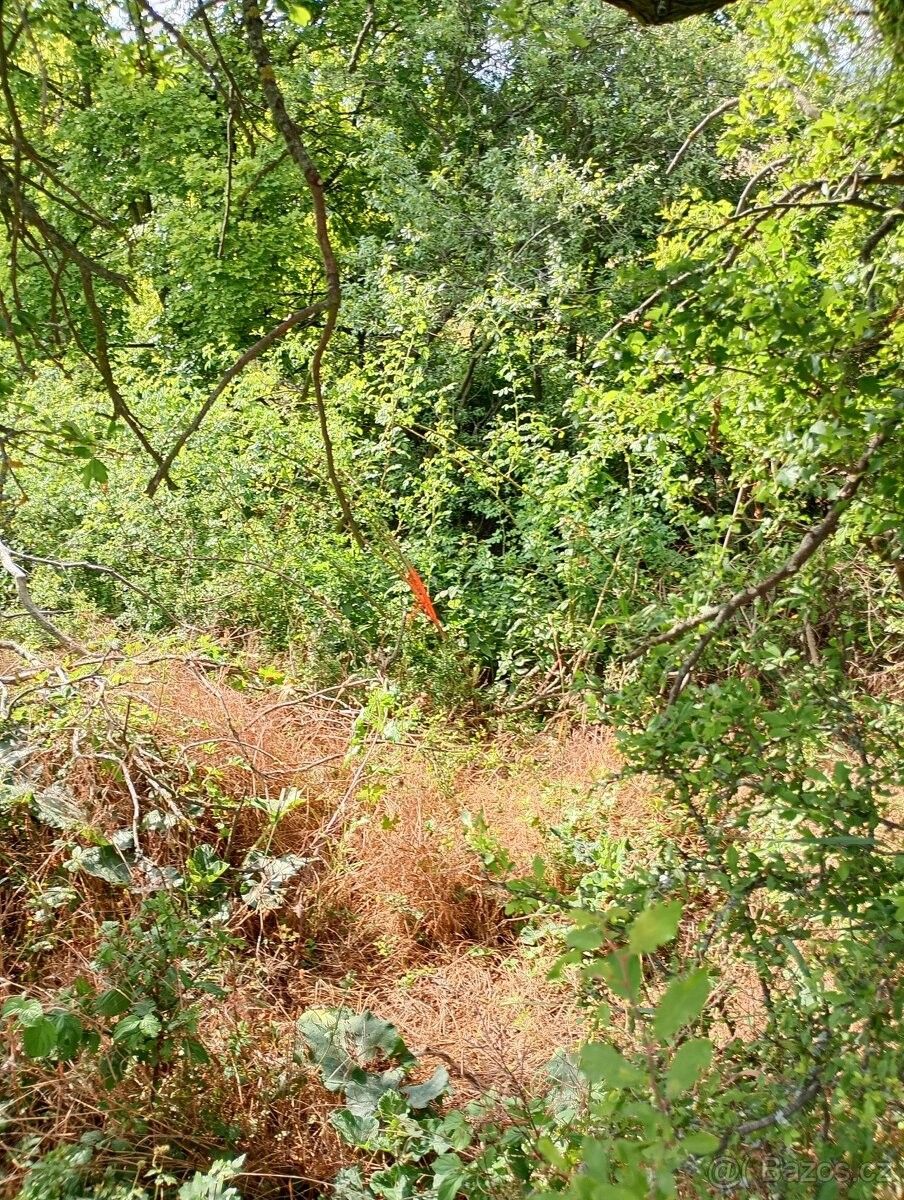 Prodej pozemek pro bydlení - Chodovlice, 411 15