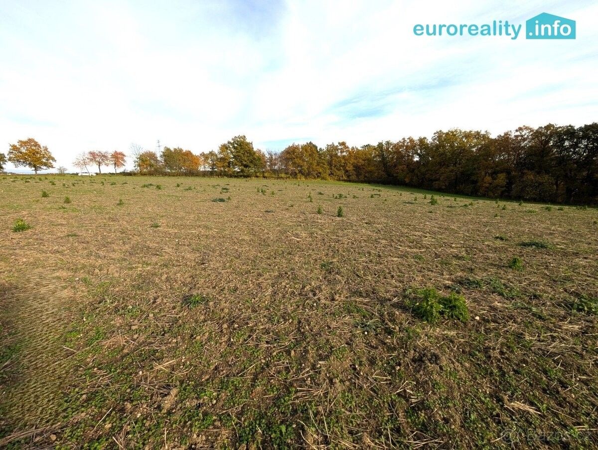 Prodej pozemek pro bydlení - Strakonice, 386 01 - 5