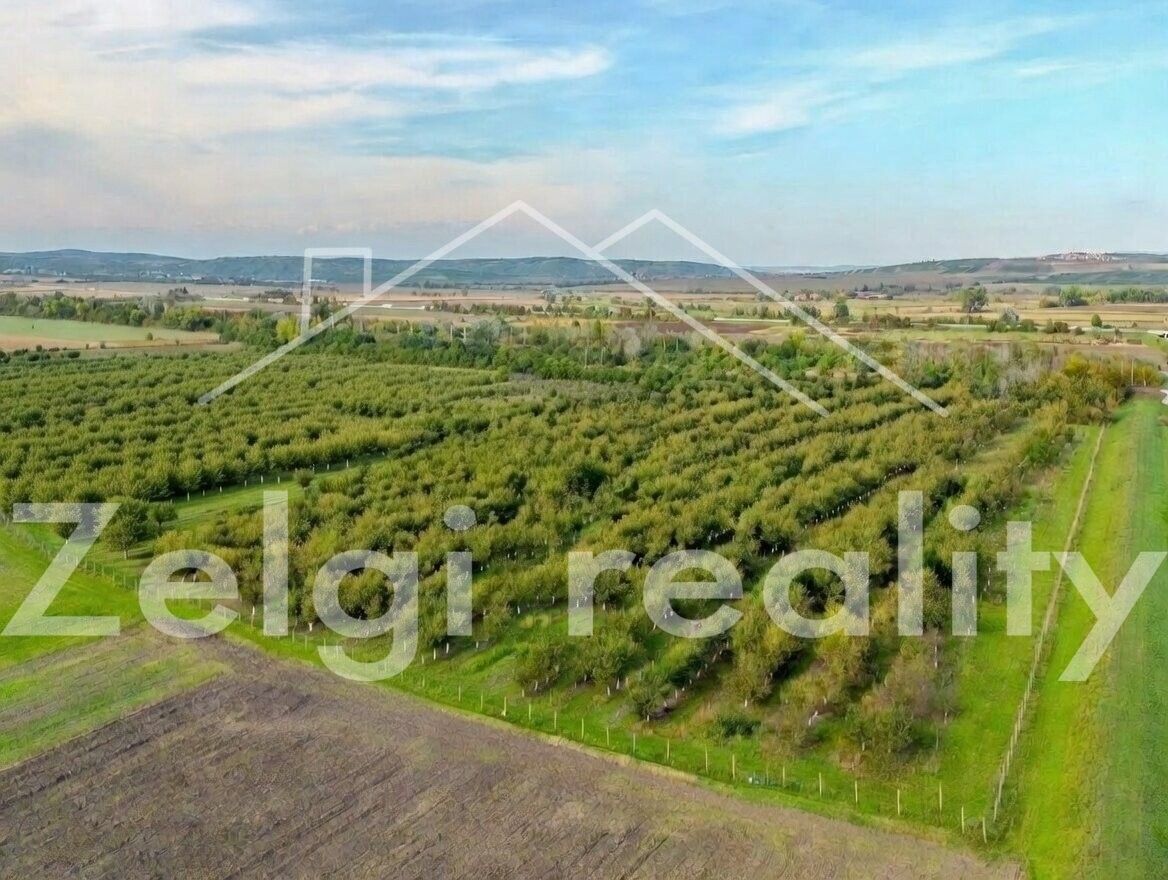 Ostatní, Horní 2, Rakvice, 210 m²