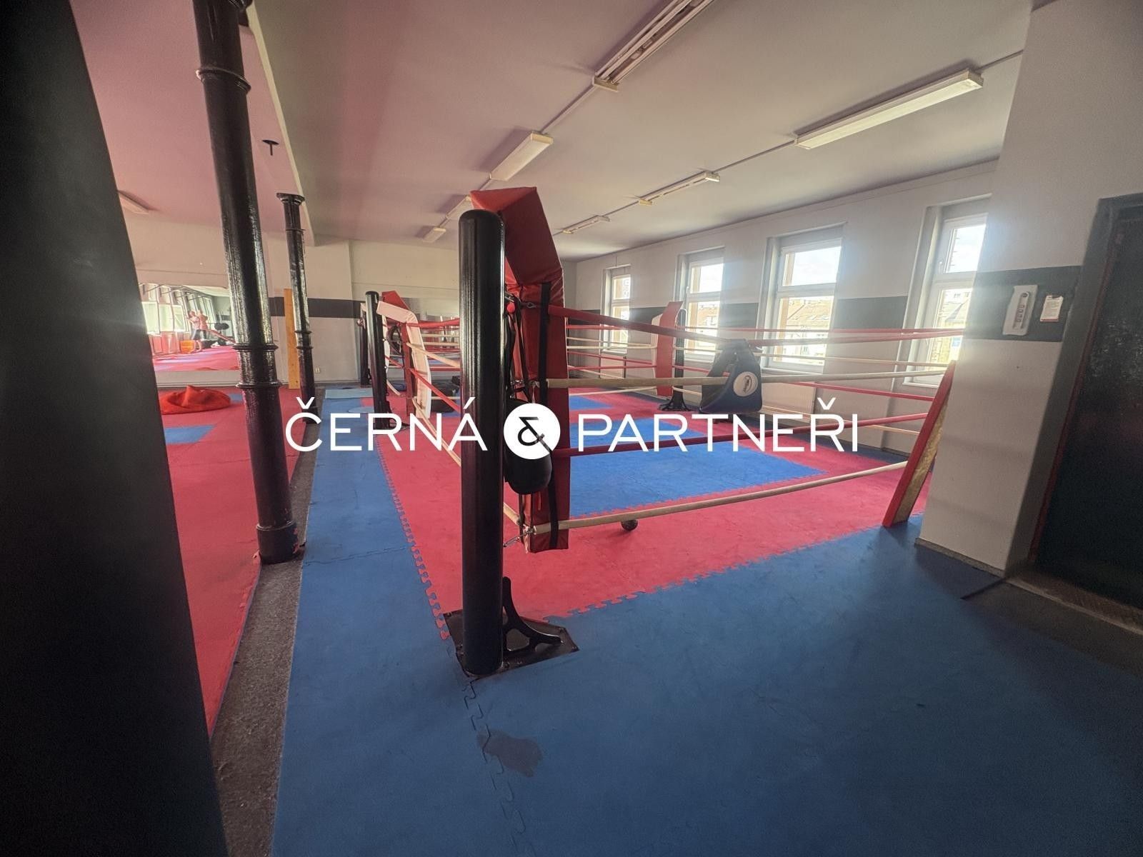 Pronájem komerční - Štúrova, Teplice, 280 m²