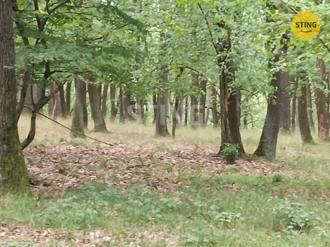 Les, 2 723 m²