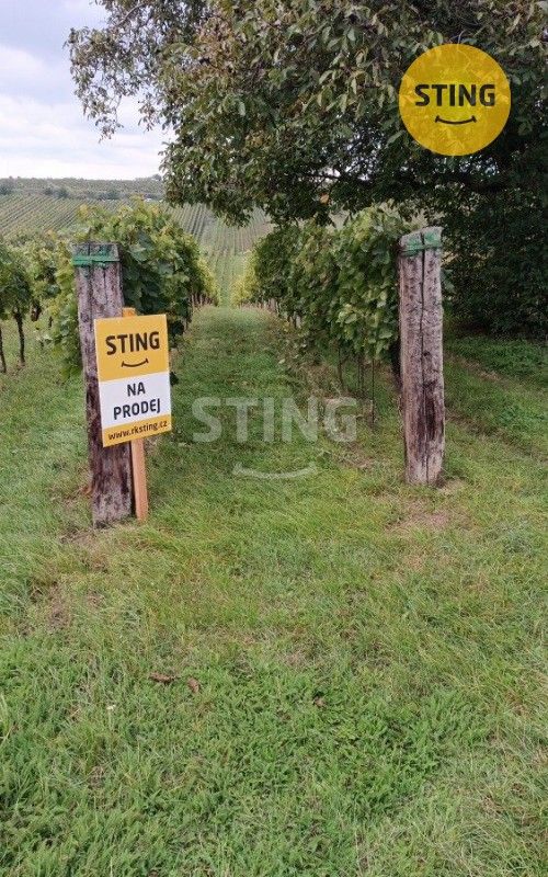 Prodej pozemek - Čejkovice, 2 286 m²