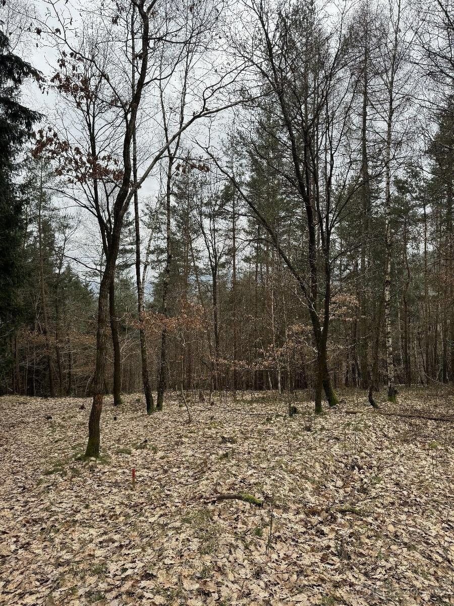 Prodej pozemek pro bydlení - Železný Brod, 468 22