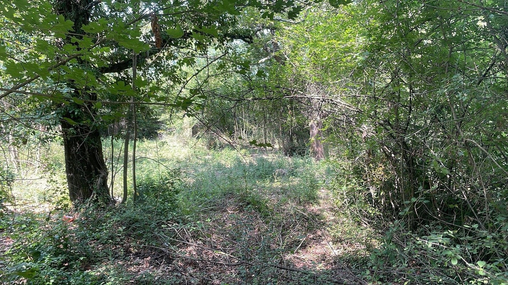 Pozemek pro bydlení, 3 380 m²