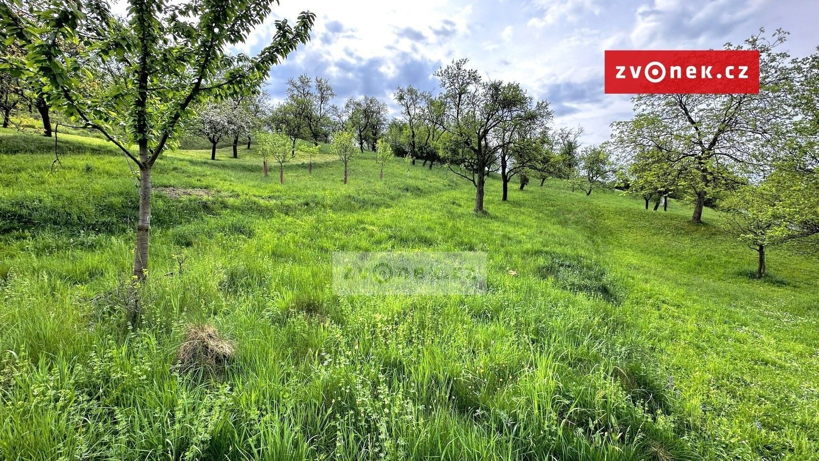 Zahrady, Halenkovice - 2