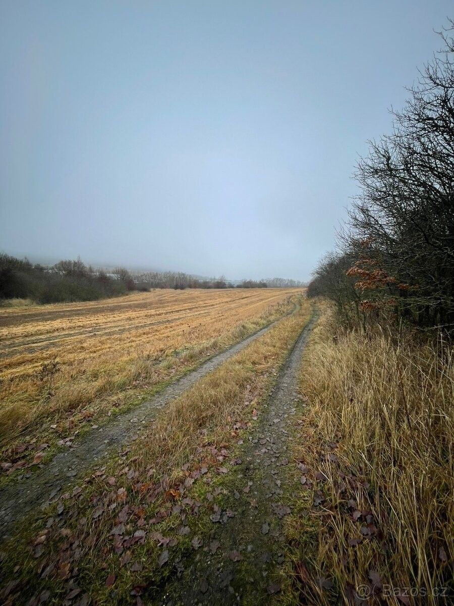 Pozemky pro bydlení, Cerhovice, 267 61