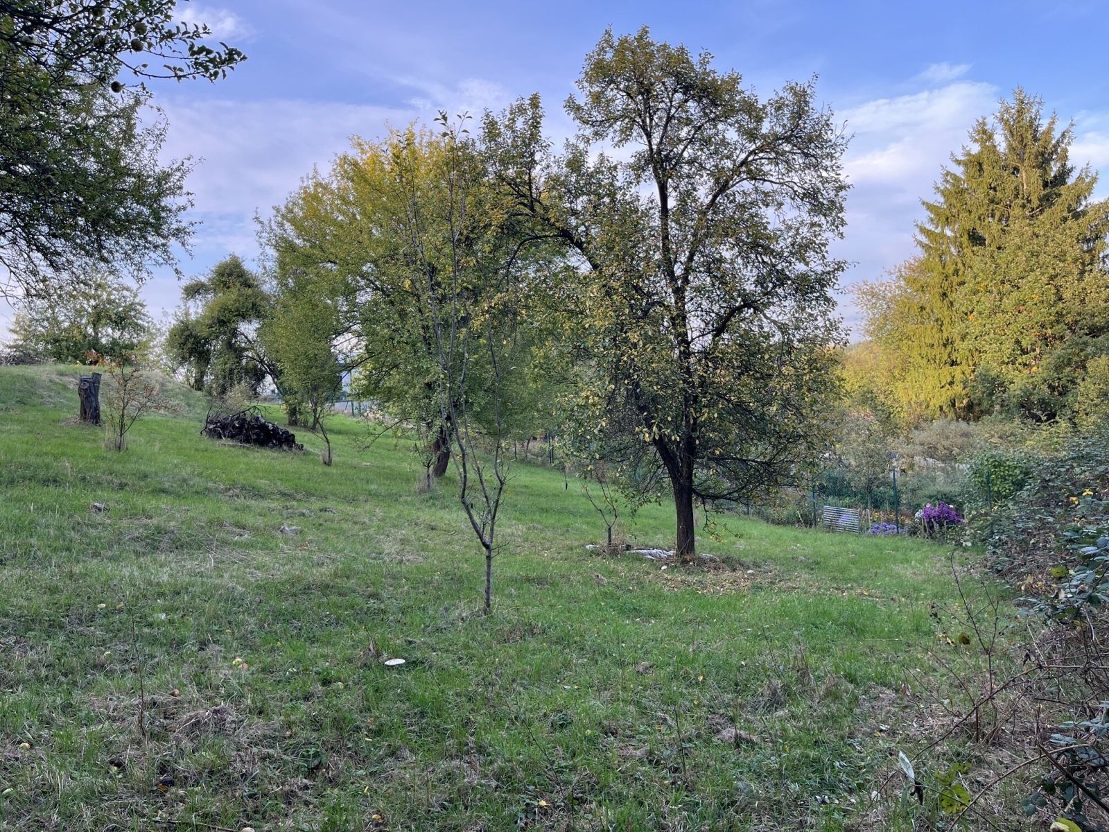 Pozemek pro bydlení · Olomučany - 4