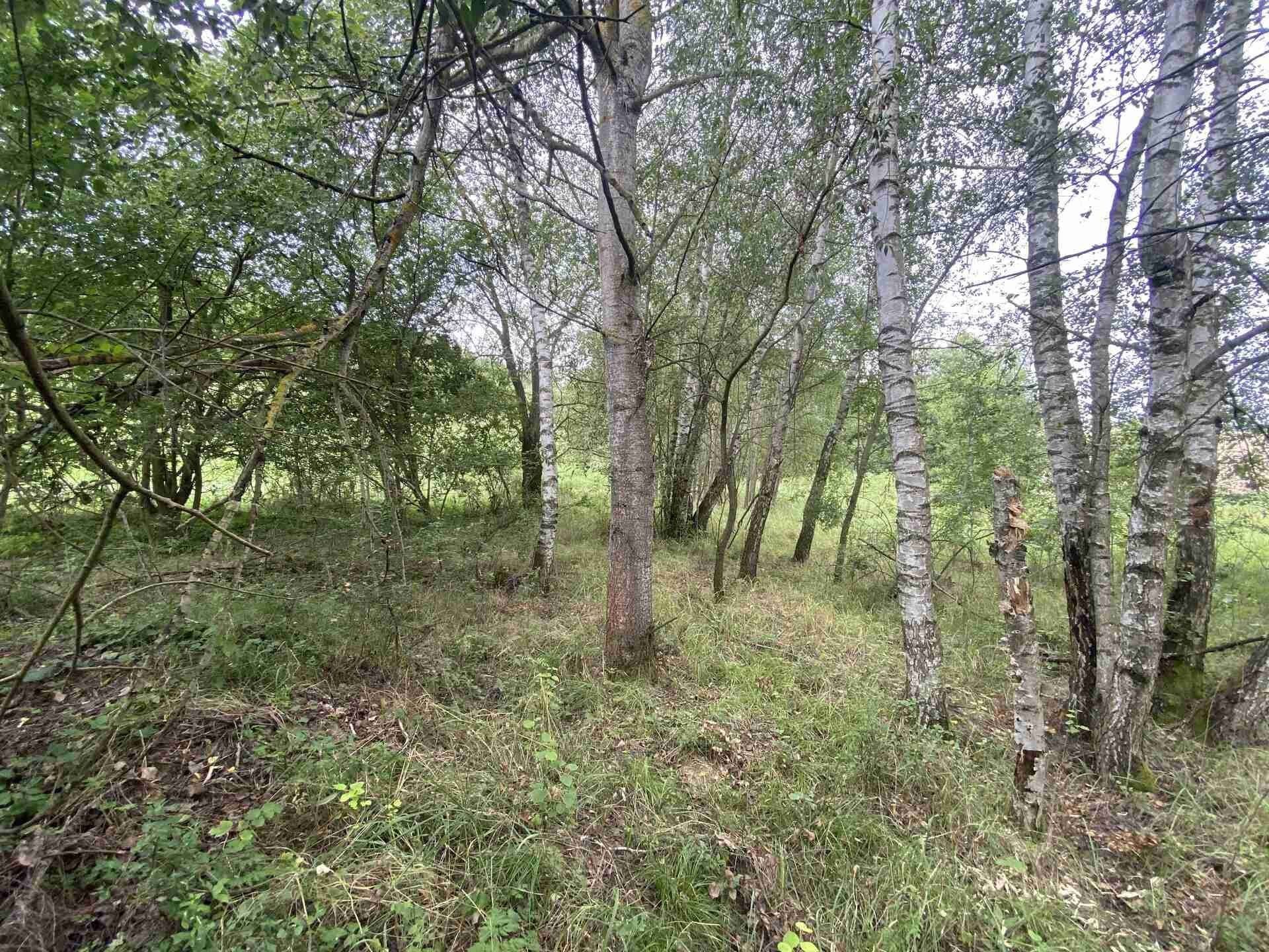 Ostatní, Písečné Slavětín, 4 446 m² - 2