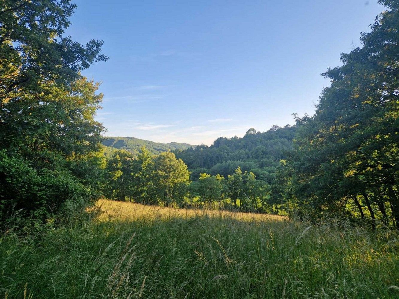 Pozemek pro bydlení, 1 297 m²