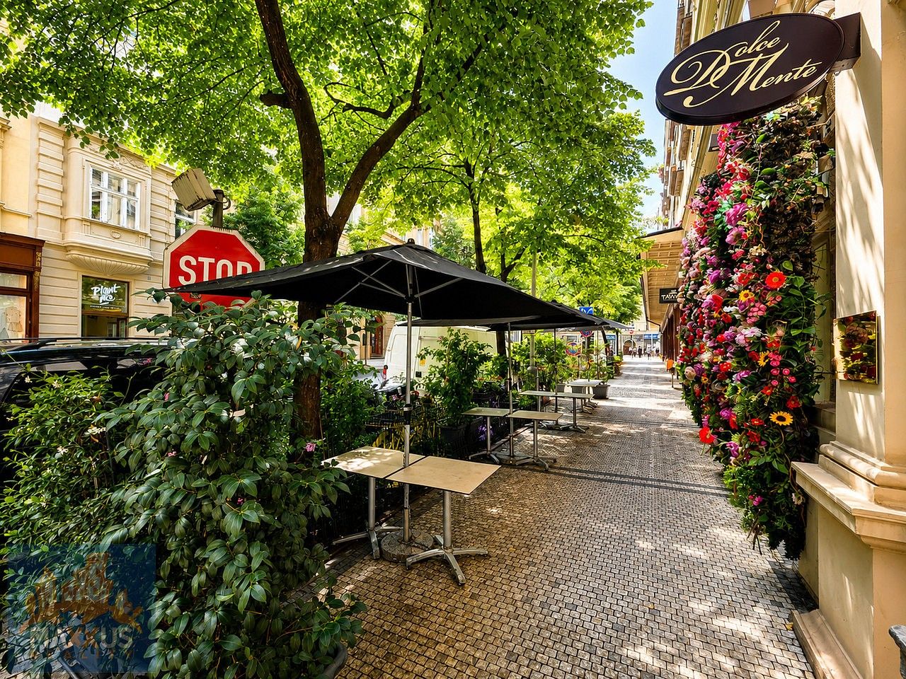 Restaurace · 224 m² · Praha - Vinohrady, okres Praha 2, Hlavní město Praha - 3