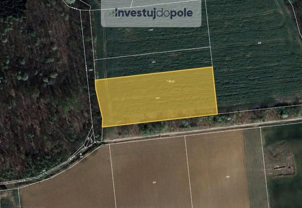 Prodej zemědělský pozemek - Tachlovice, 252 17, 2 550 m²