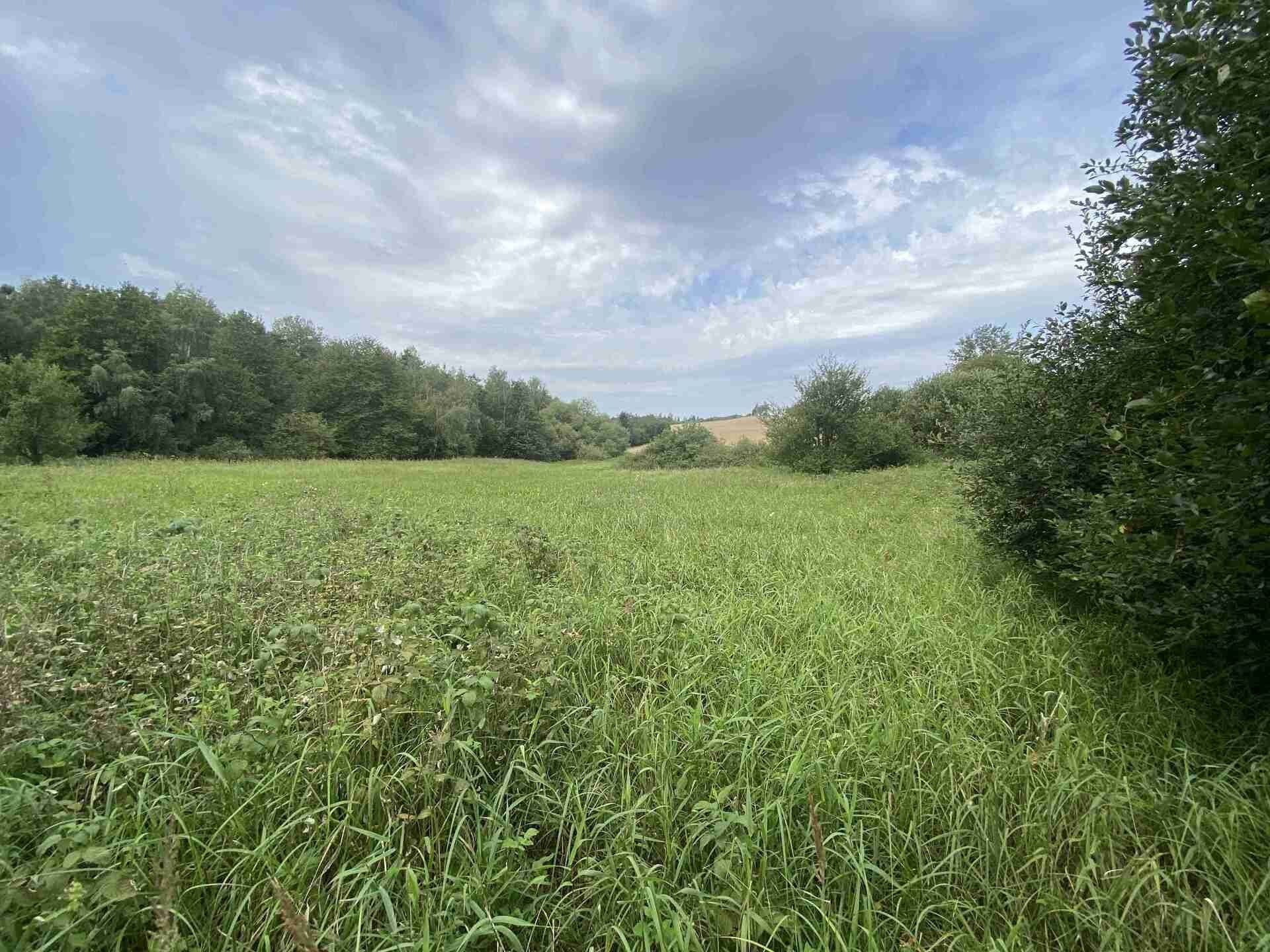 Pozemek · 4 446 m² · Písečné Slavětín - 3