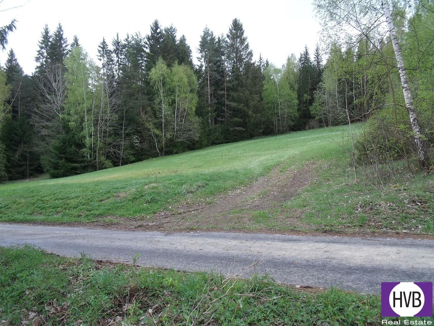 Prodej zemědělský pozemek - Přední Výtoň, 4 m²