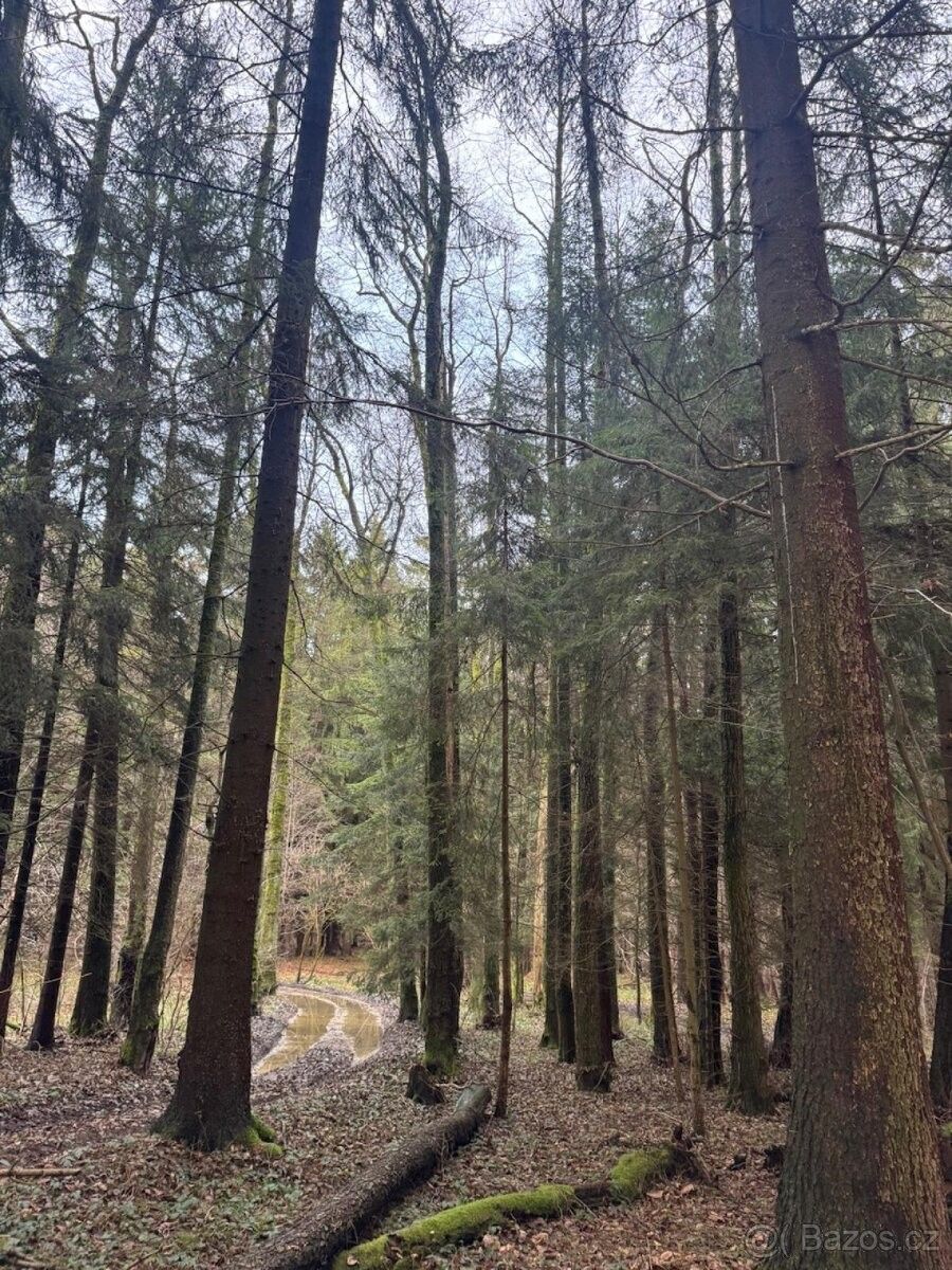 Prodej pozemek pro bydlení - Francova Lhota, 756 14