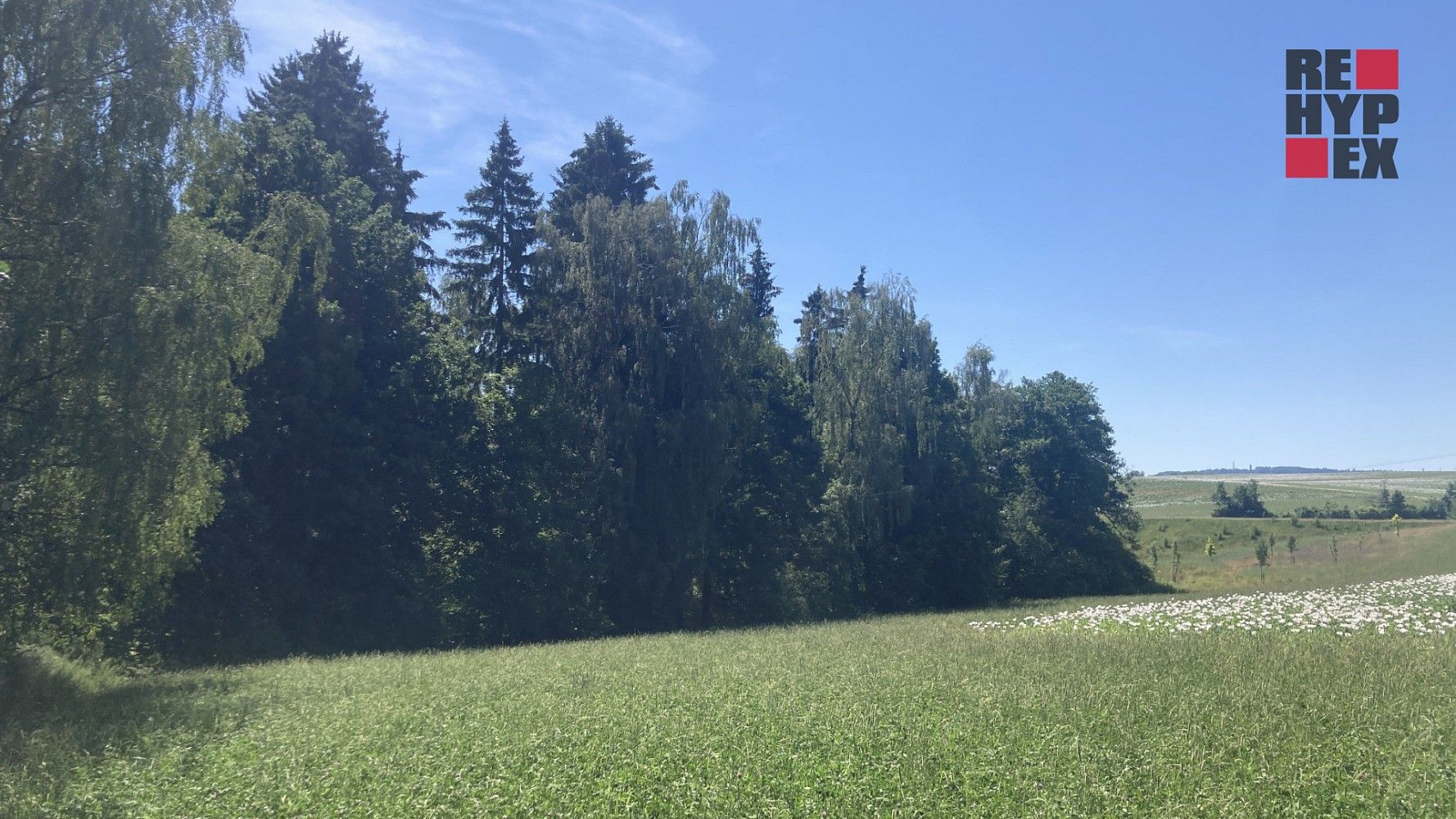 Zemědělský pozemek · Lomnice nad Popelkou - Želechy, okres Semily - 3
