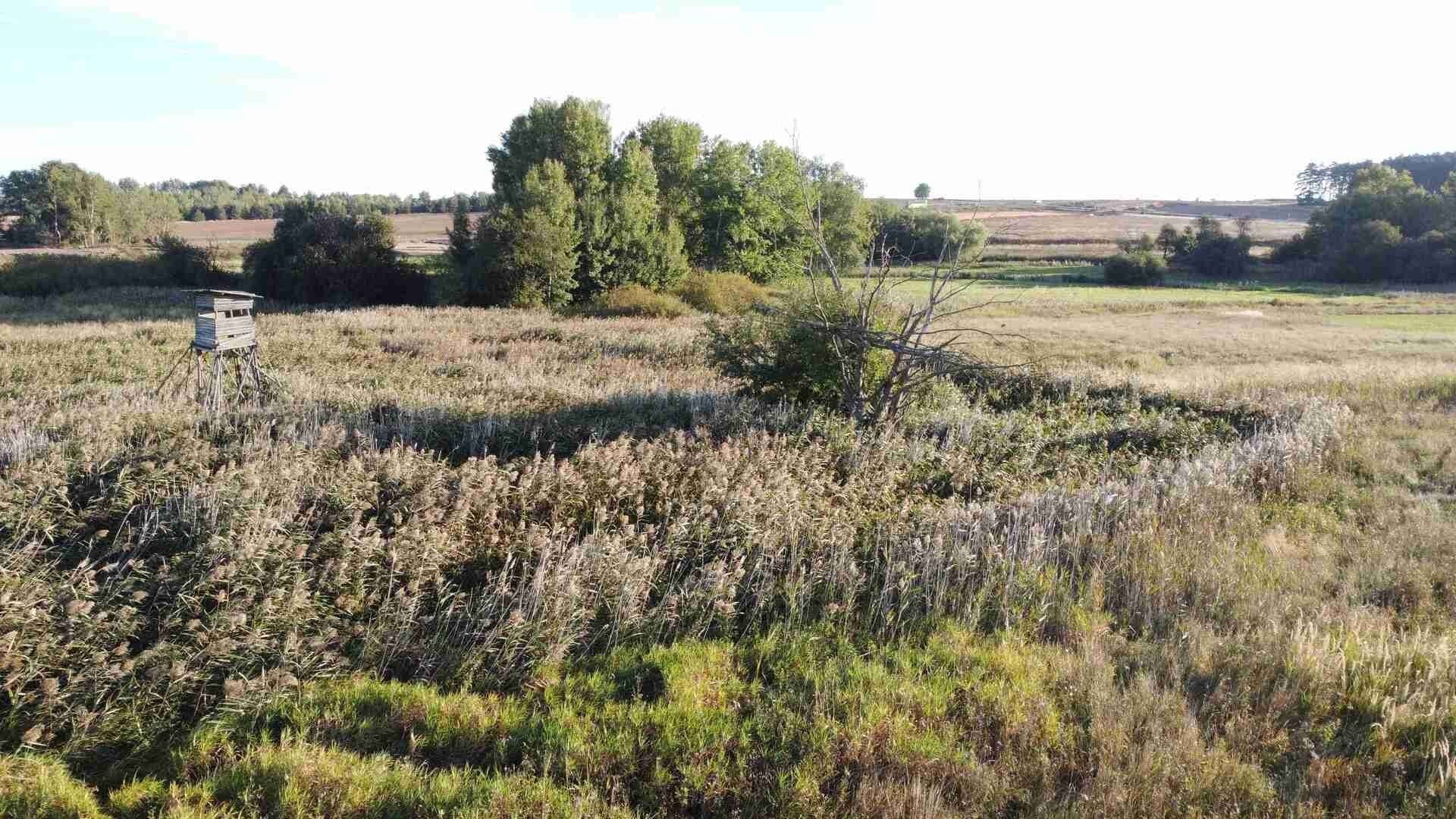 Ostatní, Nesuchyně, 951 m² - 2