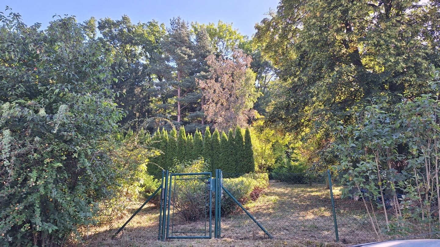 Pozemek pro bydlení · 1 127 m² · Běstvina - 3