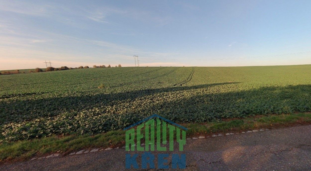 Zemědělské pozemky, Blinka, Plaňany