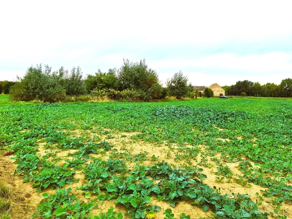 Pronájem pozemek pro bydlení - Malešovice, 664 65