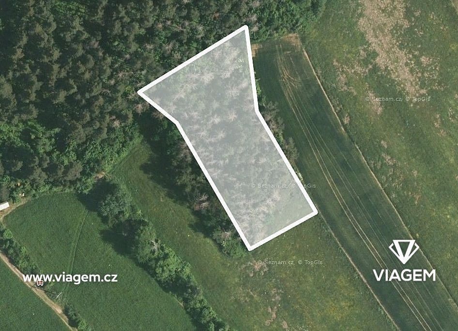 Lesy, Kuřimská Nová Ves, okres Brno-venkov, Jihomoravský kraj - 2