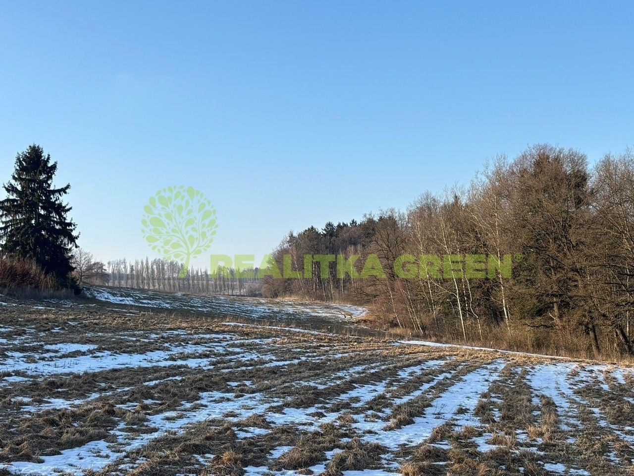 Lesy, Horní Dlužiny, Světlá nad Sázavou, 48 055 m²