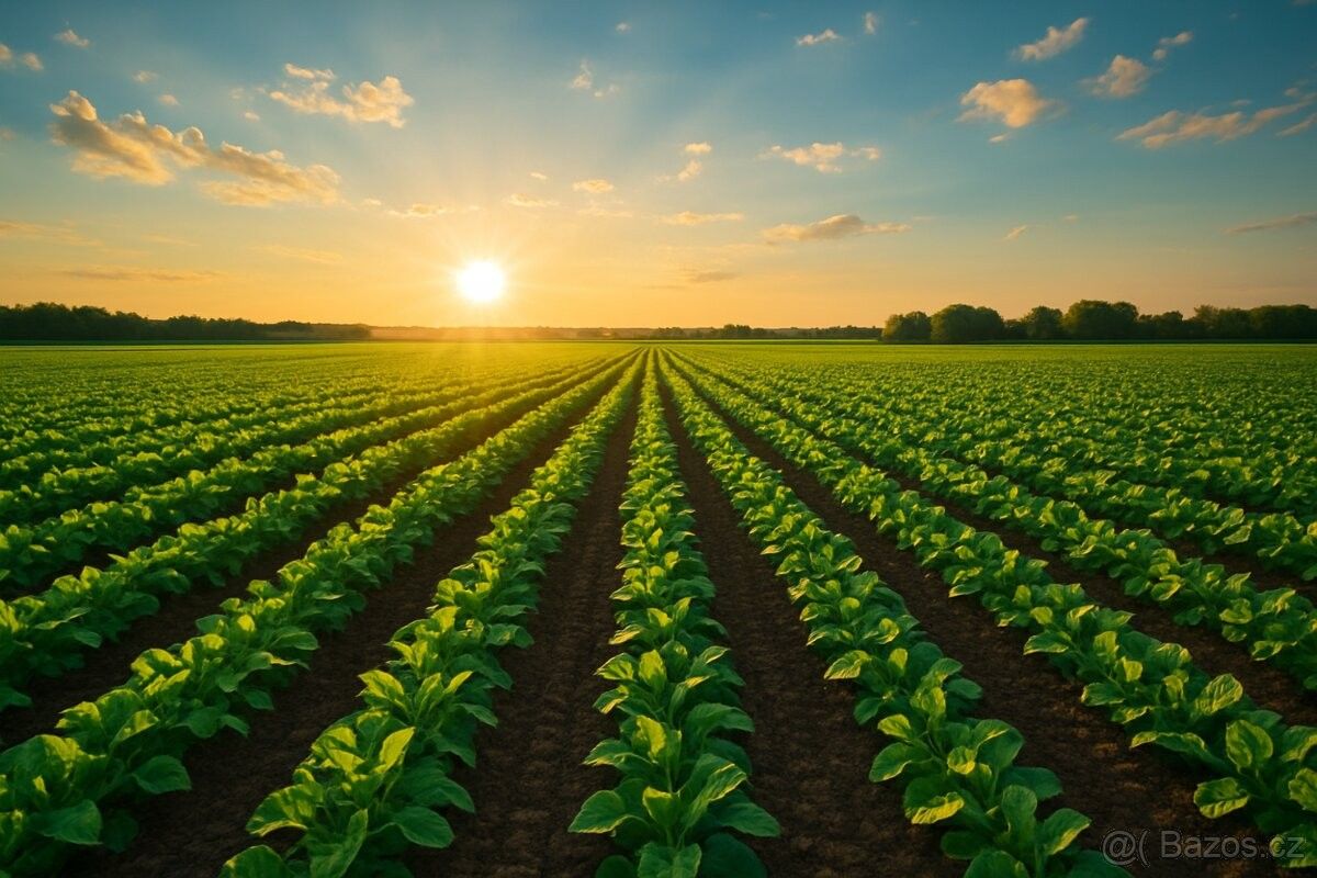 Prodej pozemek pro bydlení - Moravský Krumlov, 672 01