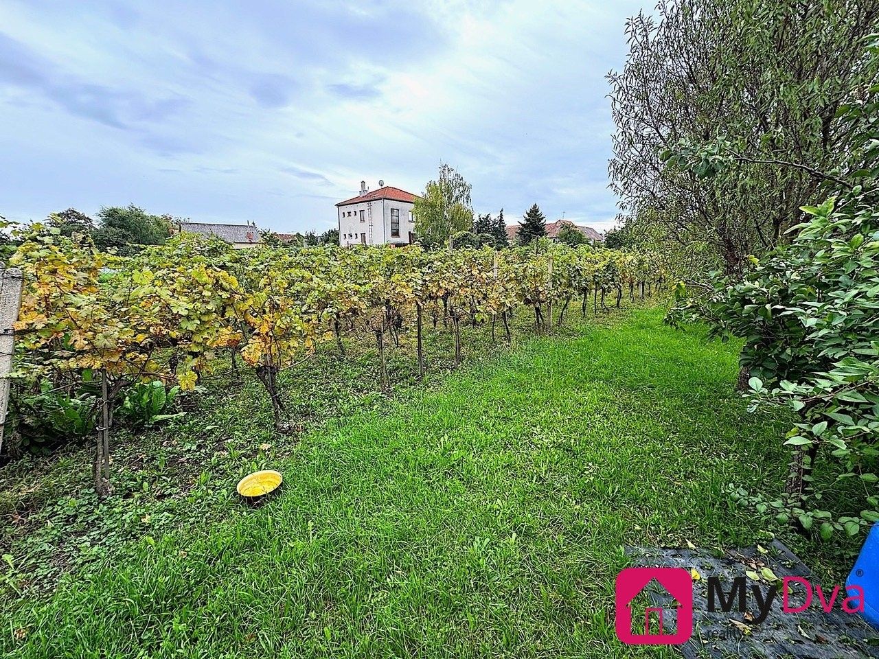 Zahrady, Sadová, Jaroslavice, 353 m²