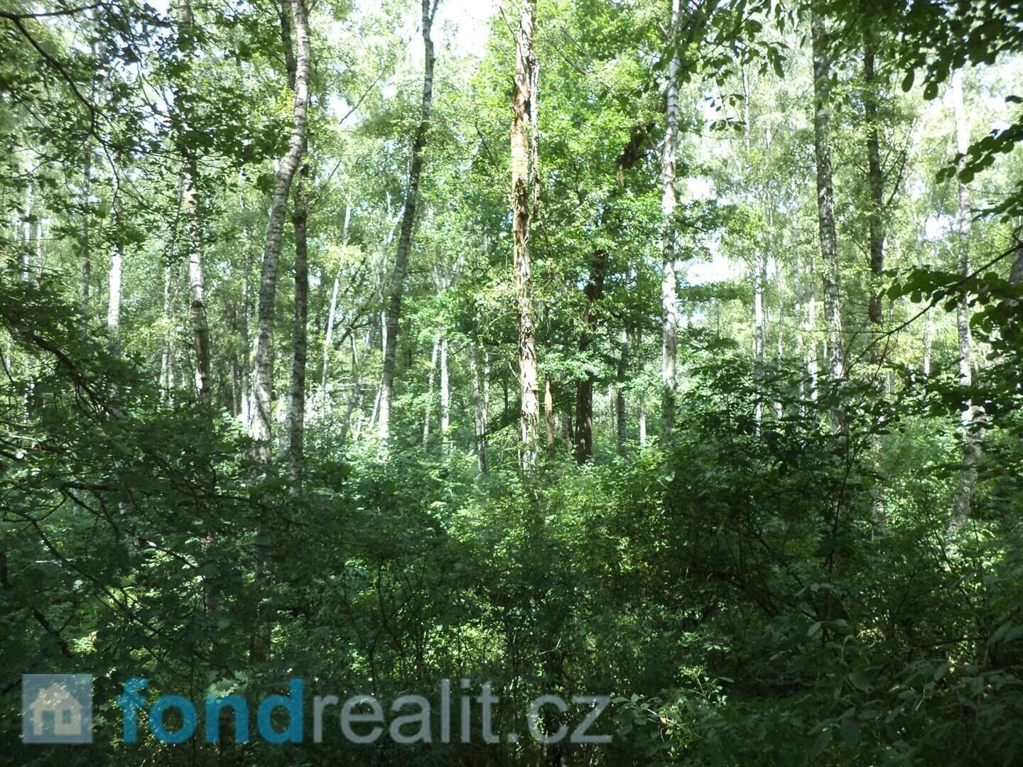 Prodej pozemek - Kaplice Blansko, 20 120 m² - 5