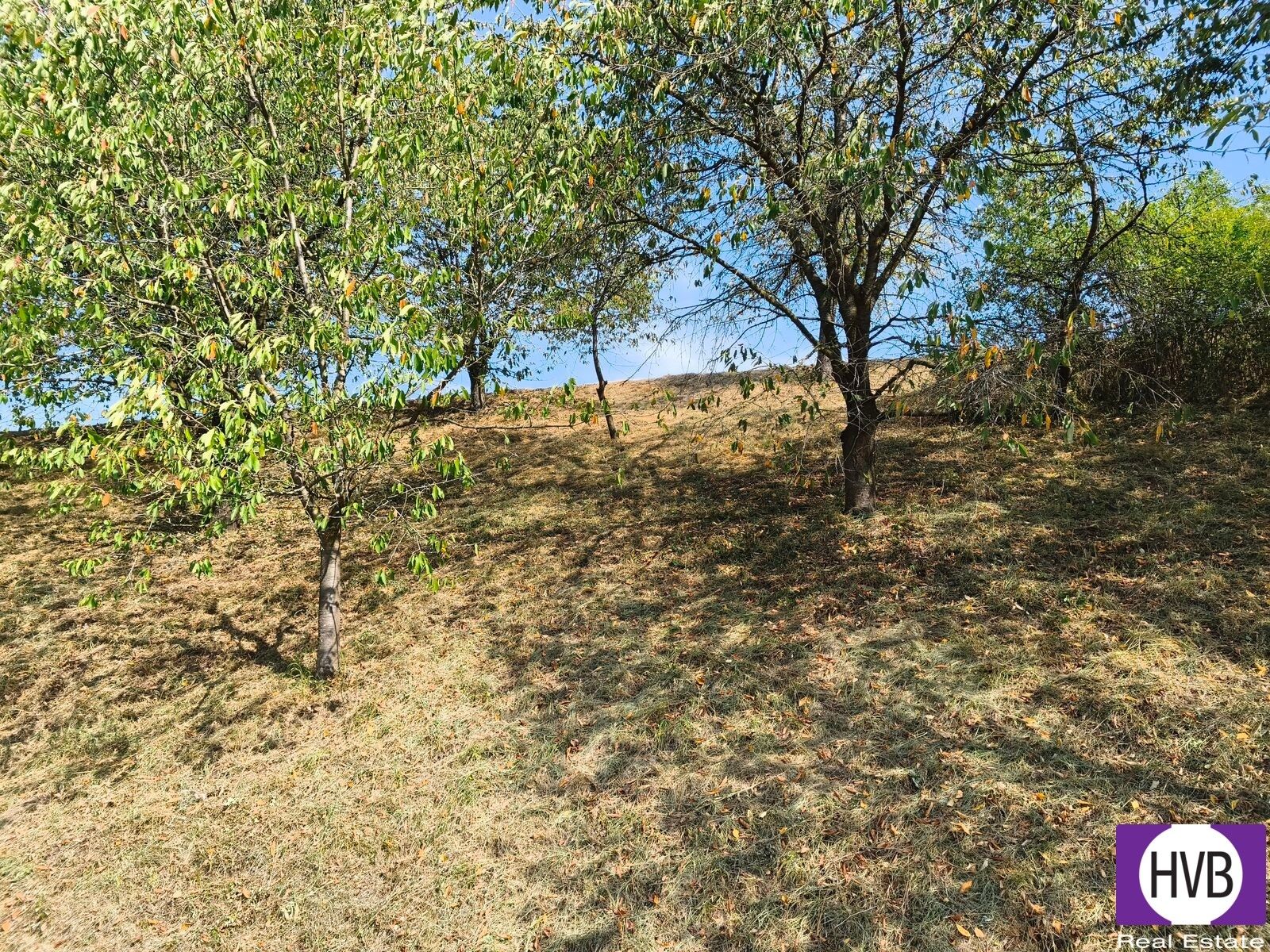 Pozemek · 1 229 m² · Synkov-Slemeno - 3