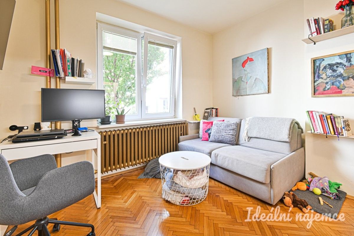 1+kk, Ruská, Brno, 20 m²