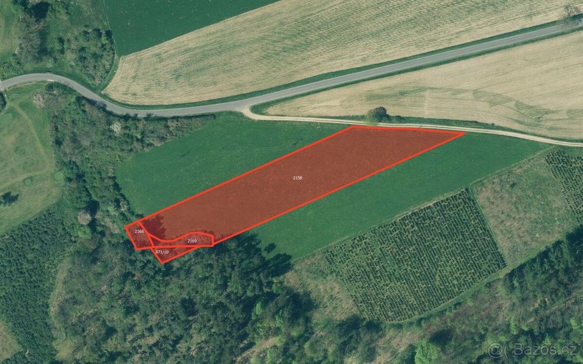 Pozemky pro bydlení, Břasy, 338 24