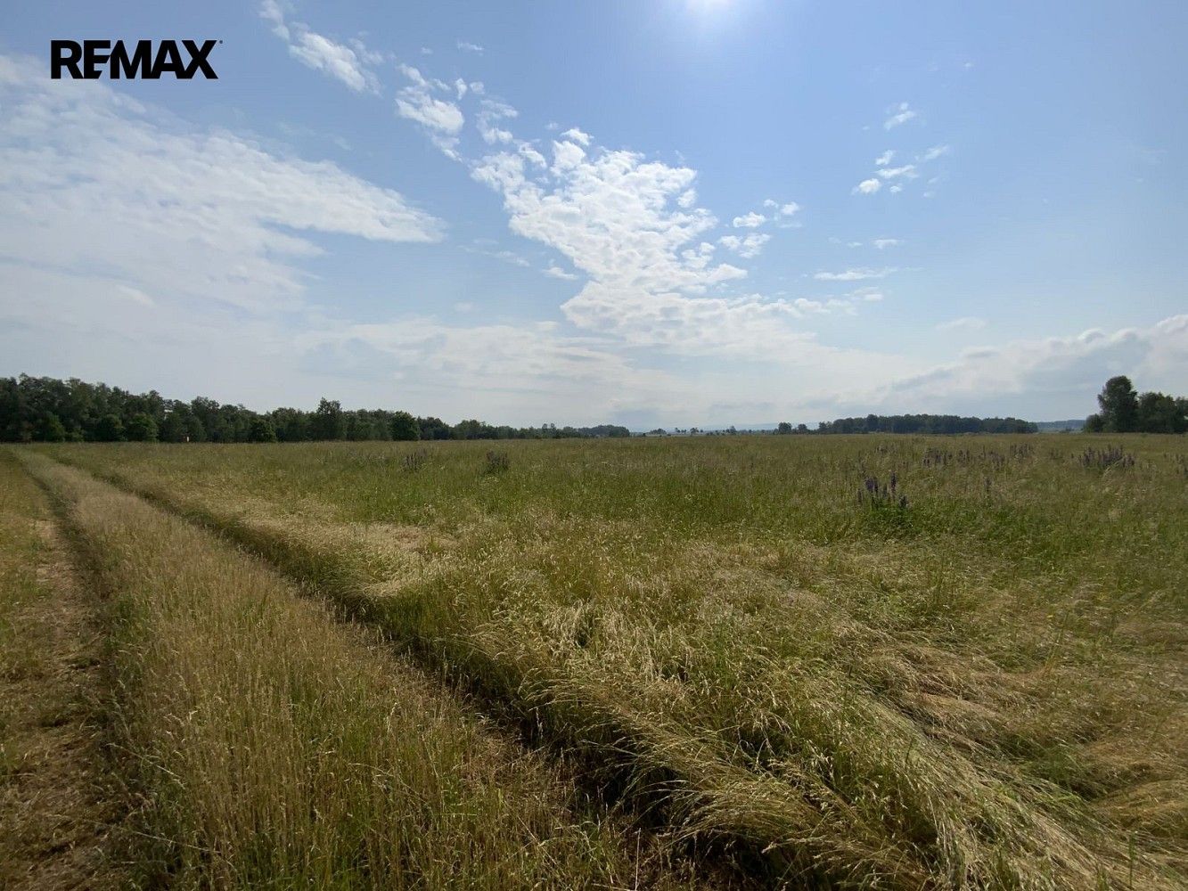 Prodej louka - Skalná, okres Cheb, Karlovarský kraj - 5