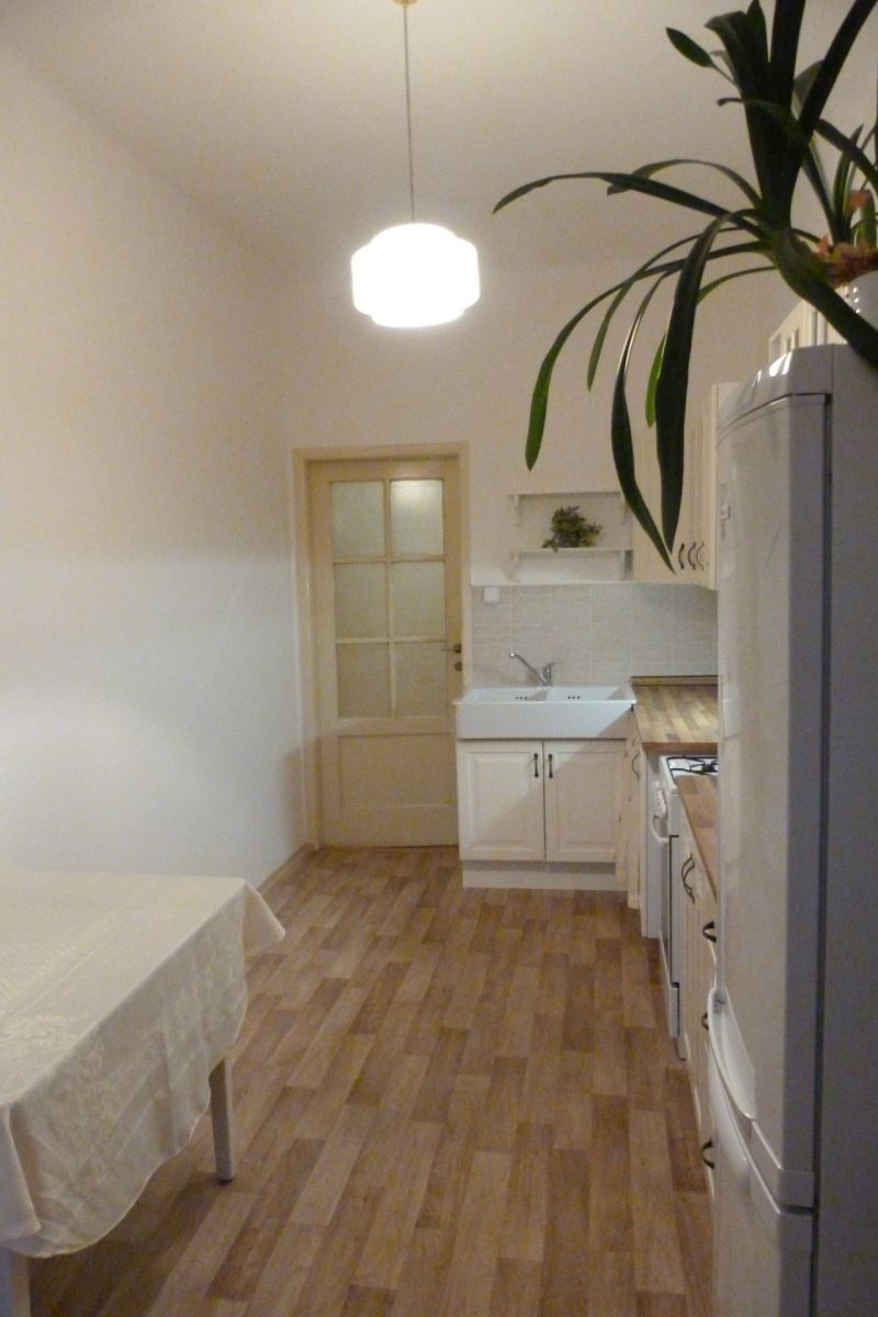 Pronájem byt 1+1 - Levá, Praha - Podolí, 47 m² - 2