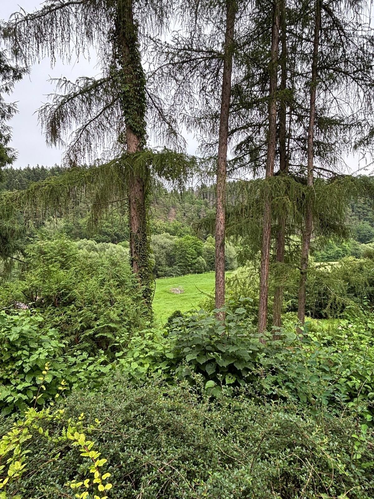Chaty, Doudleby, 75 m²