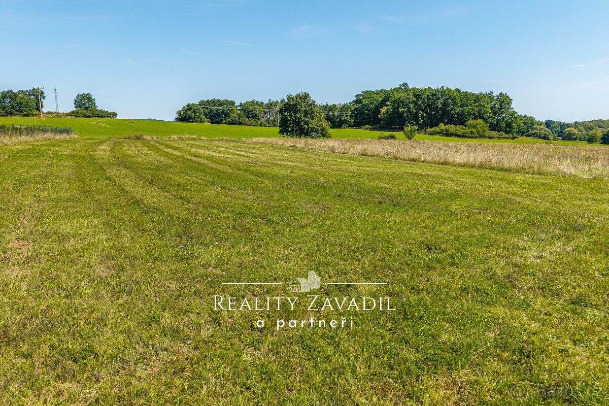 Prodej pozemek pro bydlení - Netvořice, 257 44